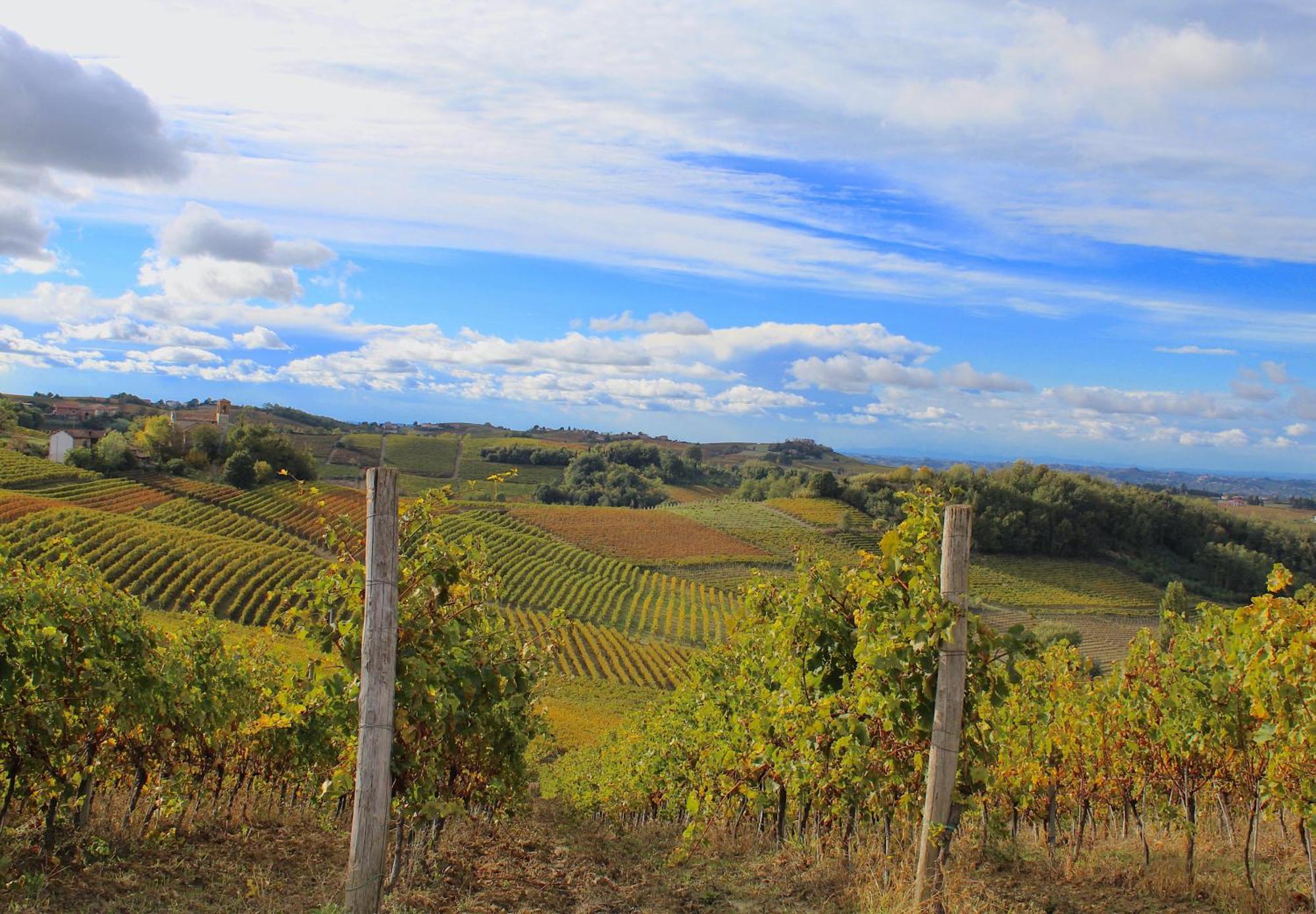 Amazing Langhe And Monferrato | House With Garden Villa Calamandrana Exterior photo